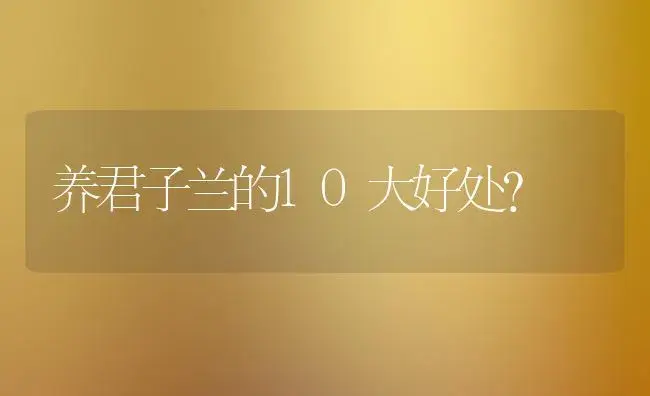 养君子兰的10大好处？ | 绿植常识