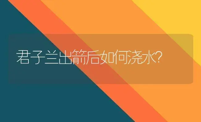 君子兰出箭后如何浇水？ | 绿植常识