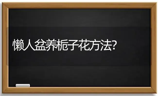 懒人盆养栀子花方法？ | 绿植常识