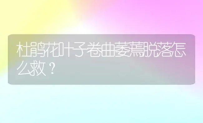 杜鹃花叶子卷曲萎蔫脱落怎么救？ | 绿植常识