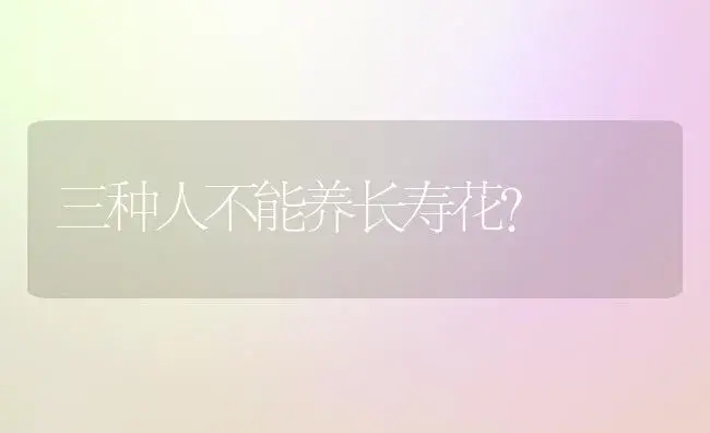 三种人不能养长寿花？ | 多肉养殖