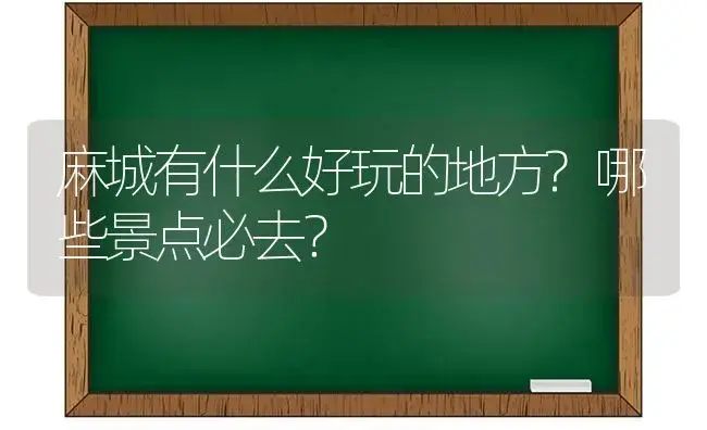 麻城有什么好玩的地方?哪些景点必去？ | 绿植常识