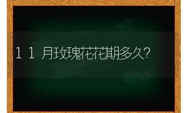 蝴蝶兰能养殖多久，别人送了一盆对这个花不了解？ | 绿植常识