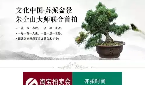 苏派盆景 | 文化中国·苏派盆景大师联合首拍作品