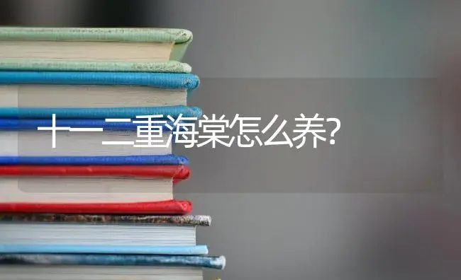 十一二重海棠怎么养？ | 绿植常识