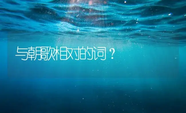 与朝歌相对的词？ | 多肉养殖