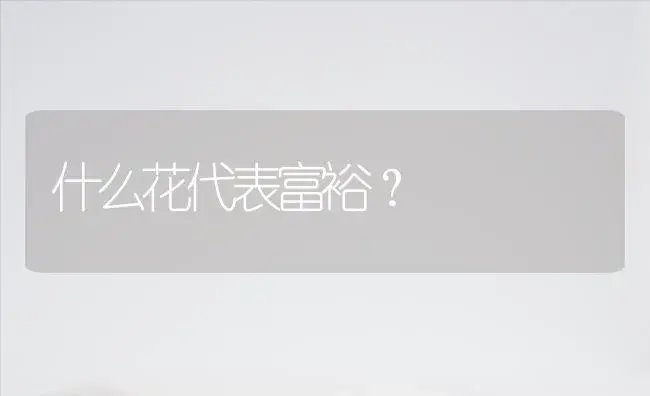 什么花代表富裕？ | 绿植常识