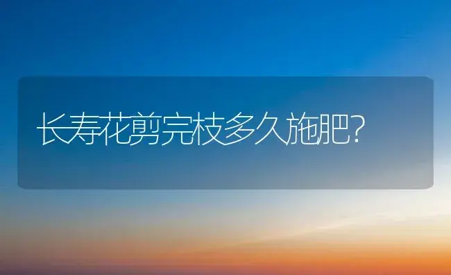 雅舞之乐园土养可以吗？ | 多肉养殖