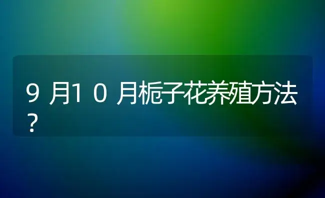 9月10月栀子花养殖方法？ | 绿植常识