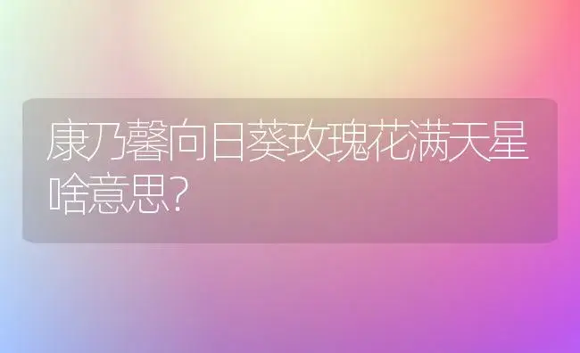 康乃馨向日葵玫瑰花满天星啥意思？ | 绿植常识