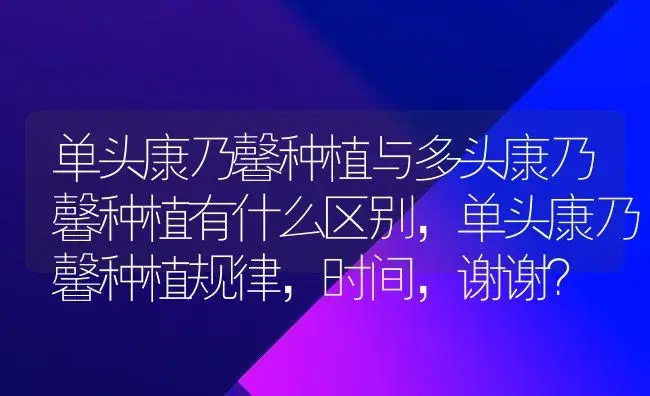 单头康乃馨种植与多头康乃馨种植有什么区别，单头康乃馨种植规律，时间，谢谢？ | 绿植常识