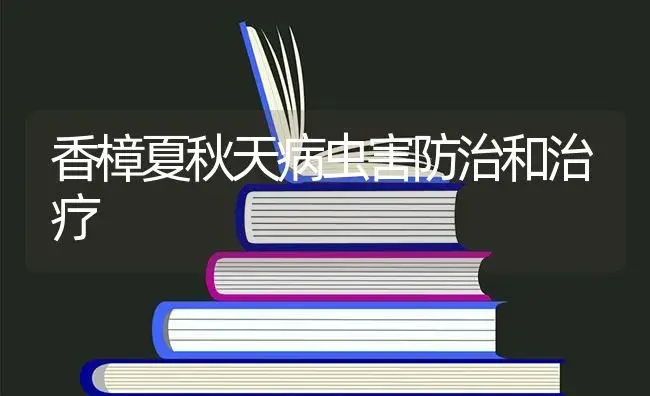 香樟夏秋天病虫害防治和治疗 | 特种种植