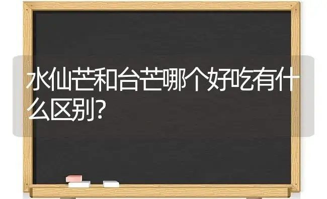 水仙芒和台芒哪个好吃有什么区别？ | 绿植常识