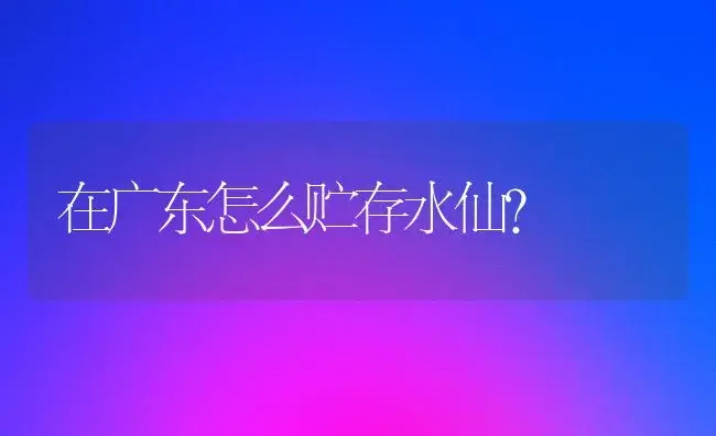 在广东怎么贮存水仙？ | 绿植常识