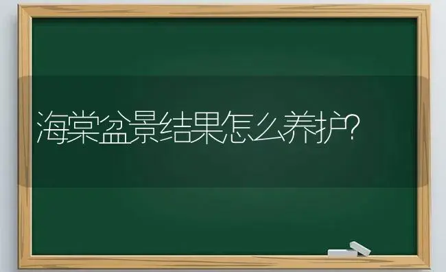 海棠盆景结果怎么养护？ | 绿植常识