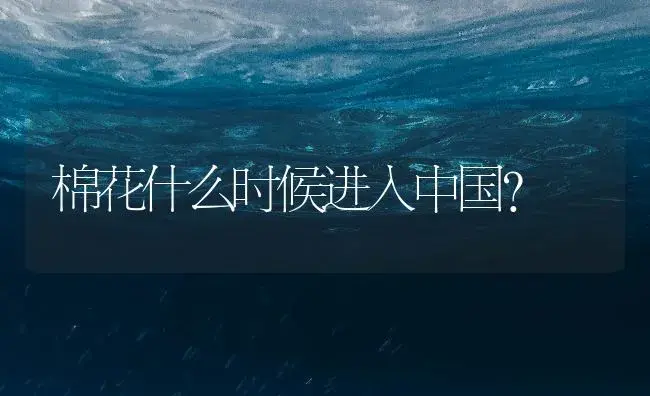 棉花什么时候进入中国？ | 农作物种植