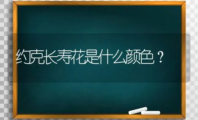 约克长寿花是什么颜色？ | 多肉养殖