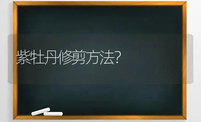 紫牡丹修剪方法？ | 多肉养殖