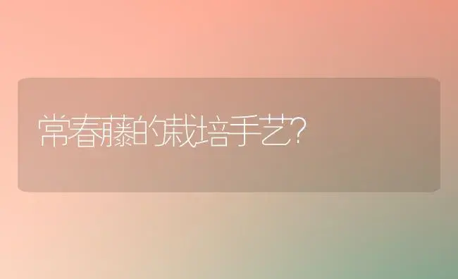 常春藤的栽培手艺？ | 家庭养花