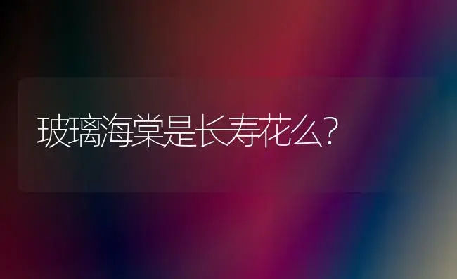 玻璃海棠是长寿花么？ | 多肉养殖