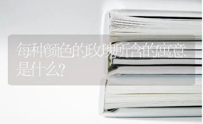 每种颜色的玫瑰所含的寓意是什么？ | 绿植常识