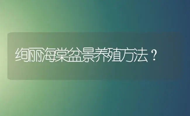 绚丽海棠盆景养殖方法？ | 绿植常识