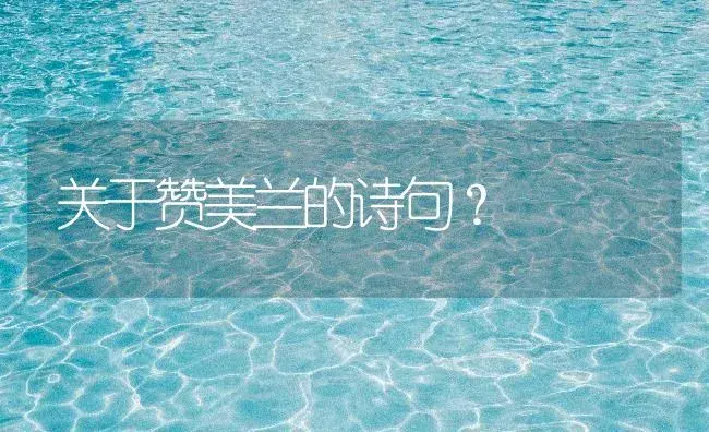 关于赞美兰的诗句？ | 绿植常识