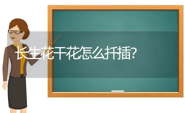 长生花干花怎么扦插？ | 多肉养殖