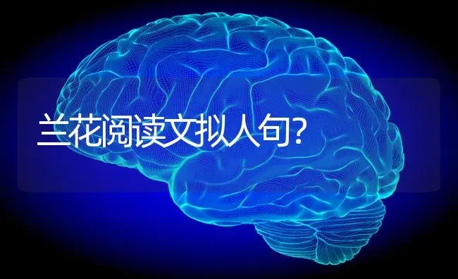 兰花阅读文拟人句？ | 绿植常识