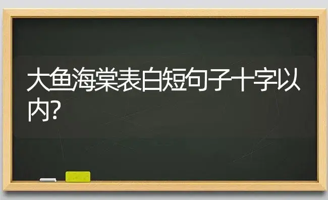 风信子可再生吗？ | 绿植常识