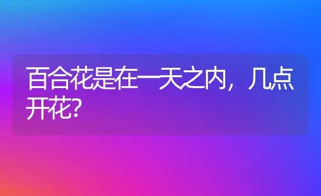 紫罗兰代表什么数字？ | 绿植常识