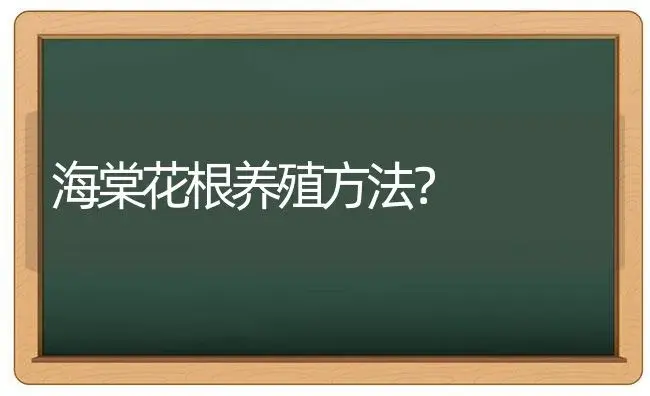 海棠花根养殖方法？ | 绿植常识