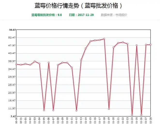 2018种蓝莓赚钱吗?前景利润怎样?一亩需要投资多少钱?