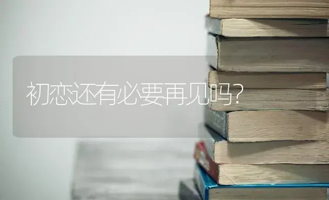 初恋还有必要再见吗？ | 多肉养殖