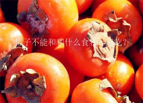 吃柿子禁忌：能和牛奶一起吃吗？千万不能和这些食物一起吃（同食）；