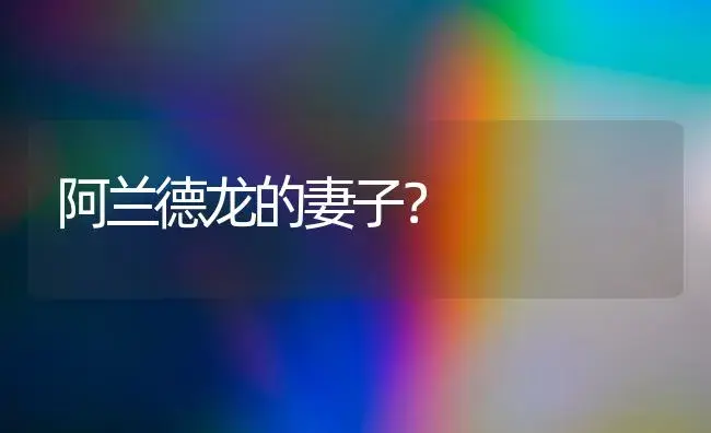 阿兰德龙的妻子？ | 绿植常识