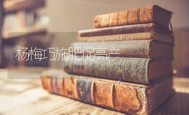 杨梅巧施肥促高产 | 果木种植