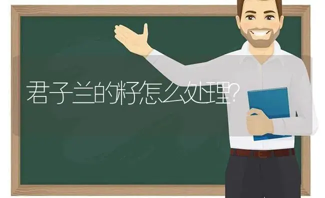 君子兰的籽怎么处理？ | 绿植常识