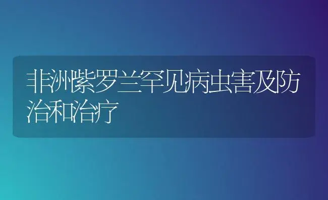 非洲紫罗兰罕见病虫害及防治和治疗 | 家庭养花