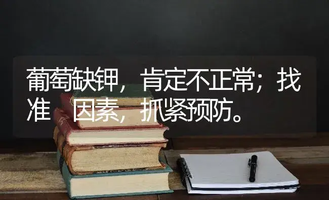 葡萄缺钾，肯定不正常；找准 因素，抓紧预防。 | 果木种植