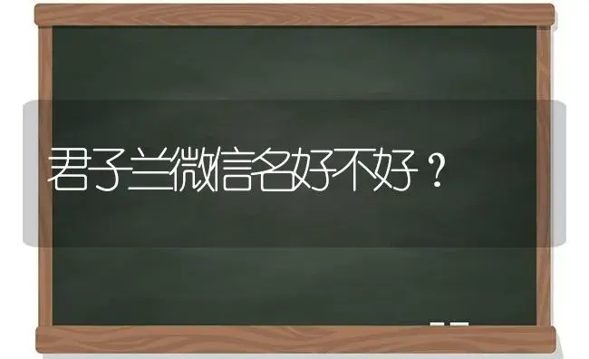 君子兰微信名好不好？ | 绿植常识