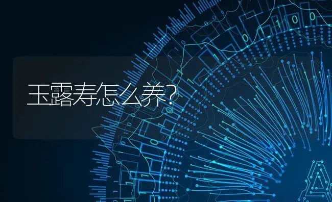 玉露寿怎么养？ | 多肉养殖