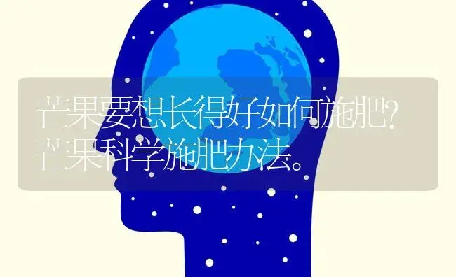 芒果要想长得好如何施肥？芒果科学施肥办法。 | 果木种植