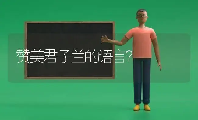 赞美君子兰的语言？ | 绿植常识