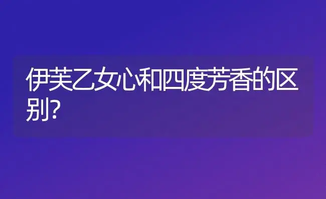 伊芙乙女心和四度芳香的区别？ | 多肉养殖