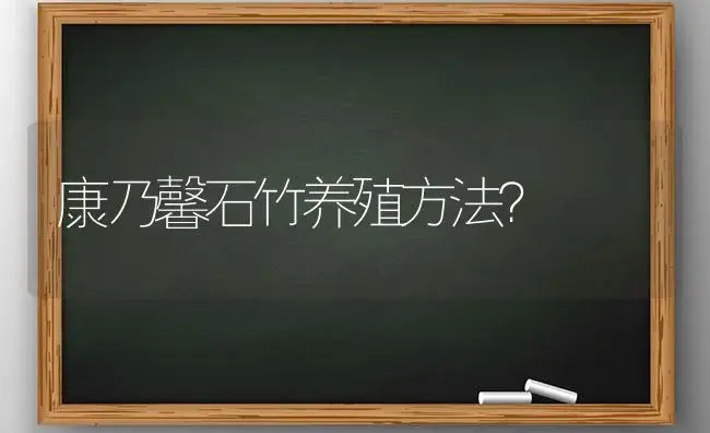 康乃馨石竹养殖方法？ | 绿植常识