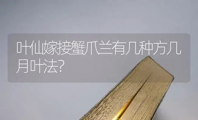 叶仙嫁接蟹爪兰有几种方几月叶法？ | 多肉养殖