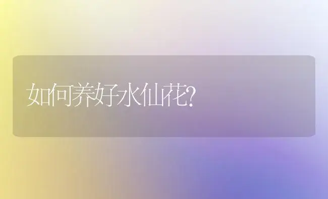 如何养好水仙花? | 家庭养花