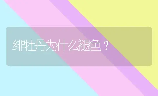 绯牡丹为什么褪色？ | 多肉养殖