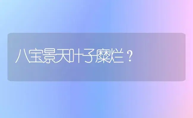 八宝景天叶子糜烂？ | 多肉养殖